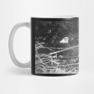 Bald Eagles Mug